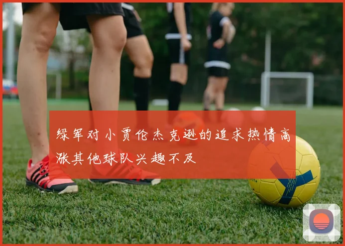 绿军对小贾伦杰克逊的追求热情高涨其他球队兴趣不及