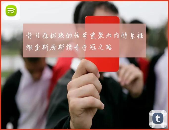 昔日森林狼的传奇重聚加内特乐福维金斯唐斯携手夺冠之路