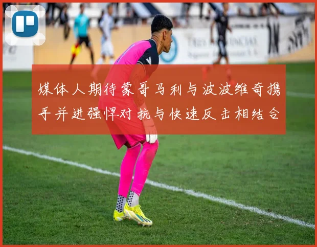 媒体人期待蒙哥马利与波波维奇携手并进强悍对抗与快速反击相结合